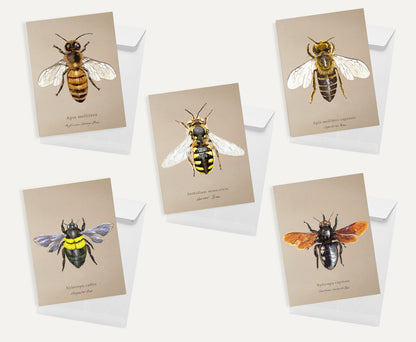 Bees Bundle 3 Small On Brown