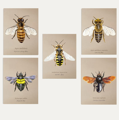 Bees Bundle 3 Small On Brown