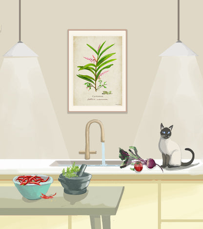 Cardemom on a Vintage Background