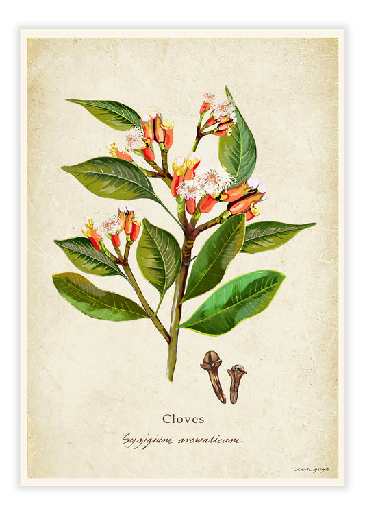 Cloves on a Vintage Background