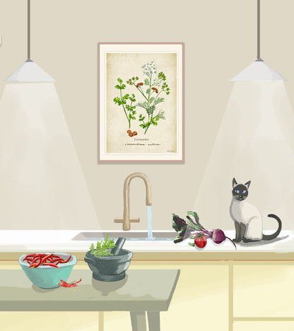 Coriander on a Vintage Background