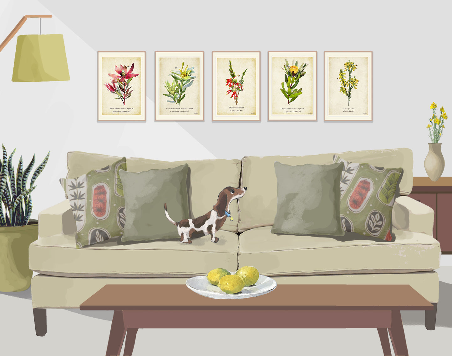 Sunshine Conebush on a Vintage Background