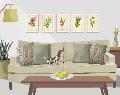 Sunshine Conebush on a Vintage Background