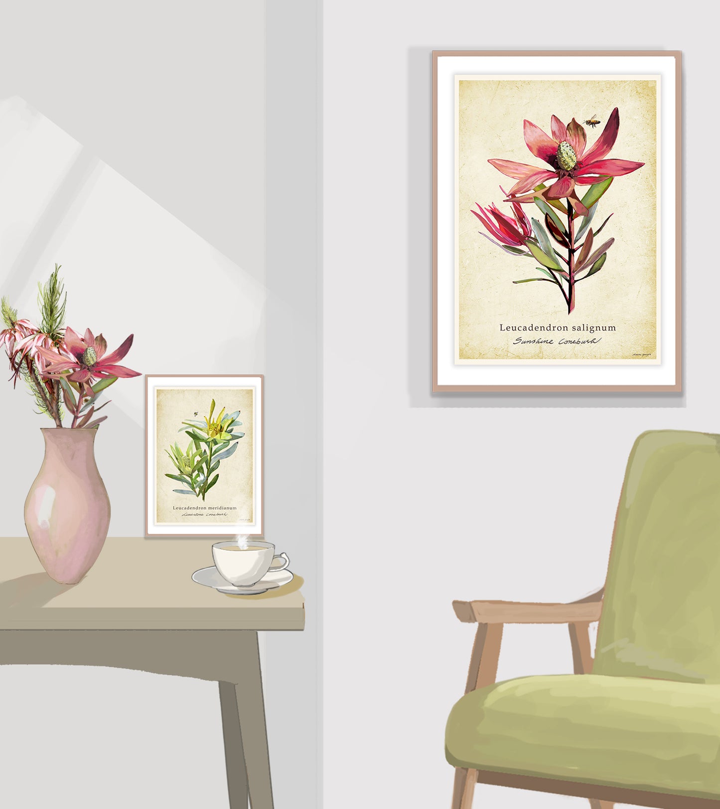 Sunshine Conebush on a Vintage Background