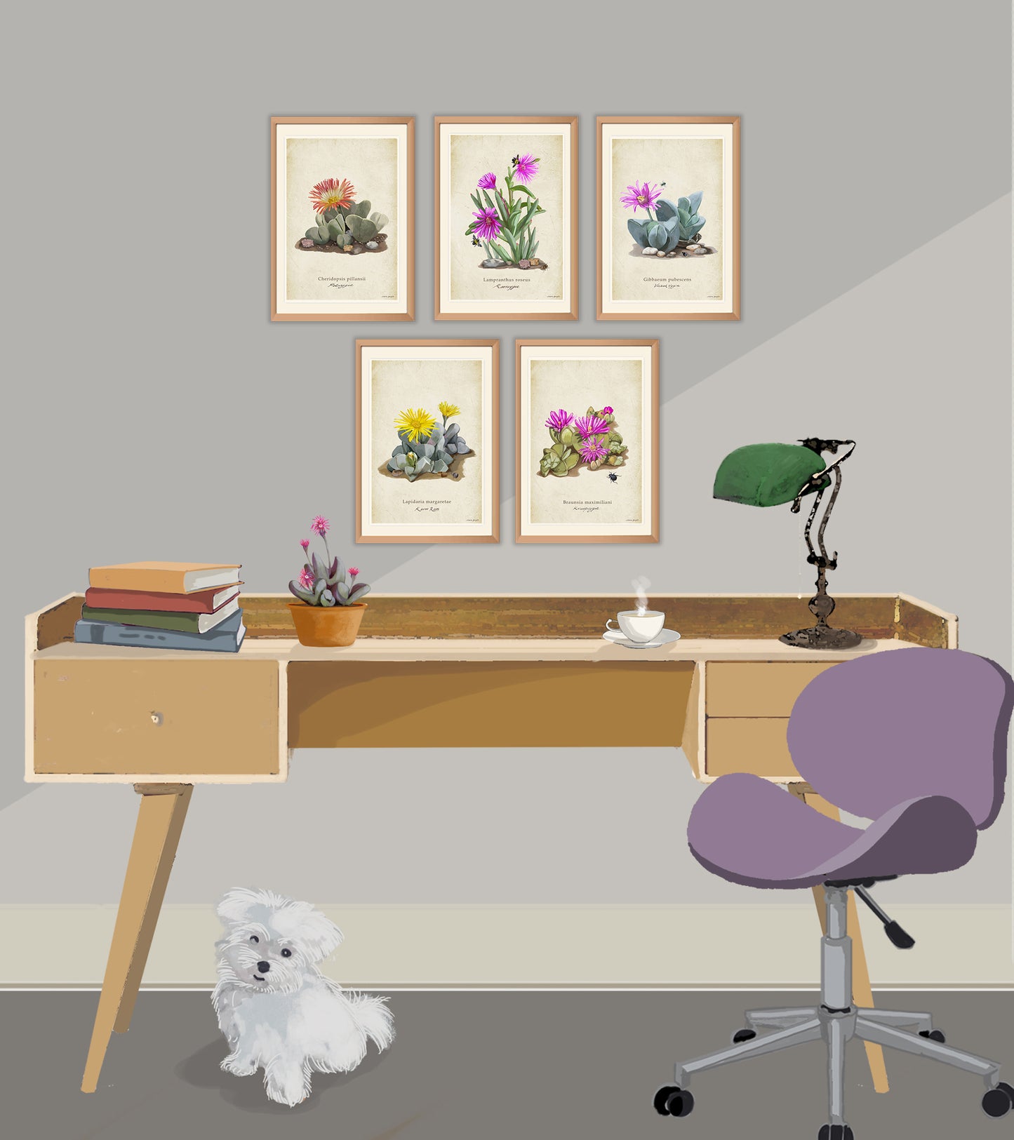 Karoo Roos on a Vintage Background