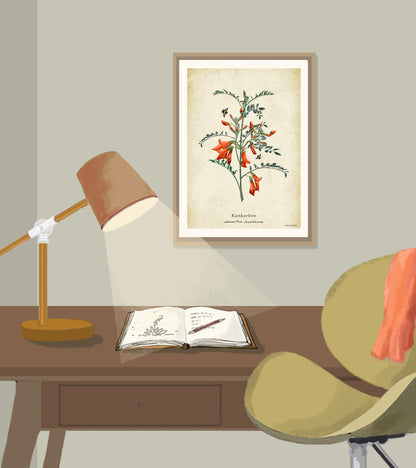 Kankerbos on a Vintage Background