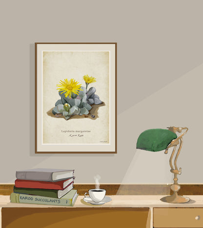 Karoo Roos on a Vintage Background