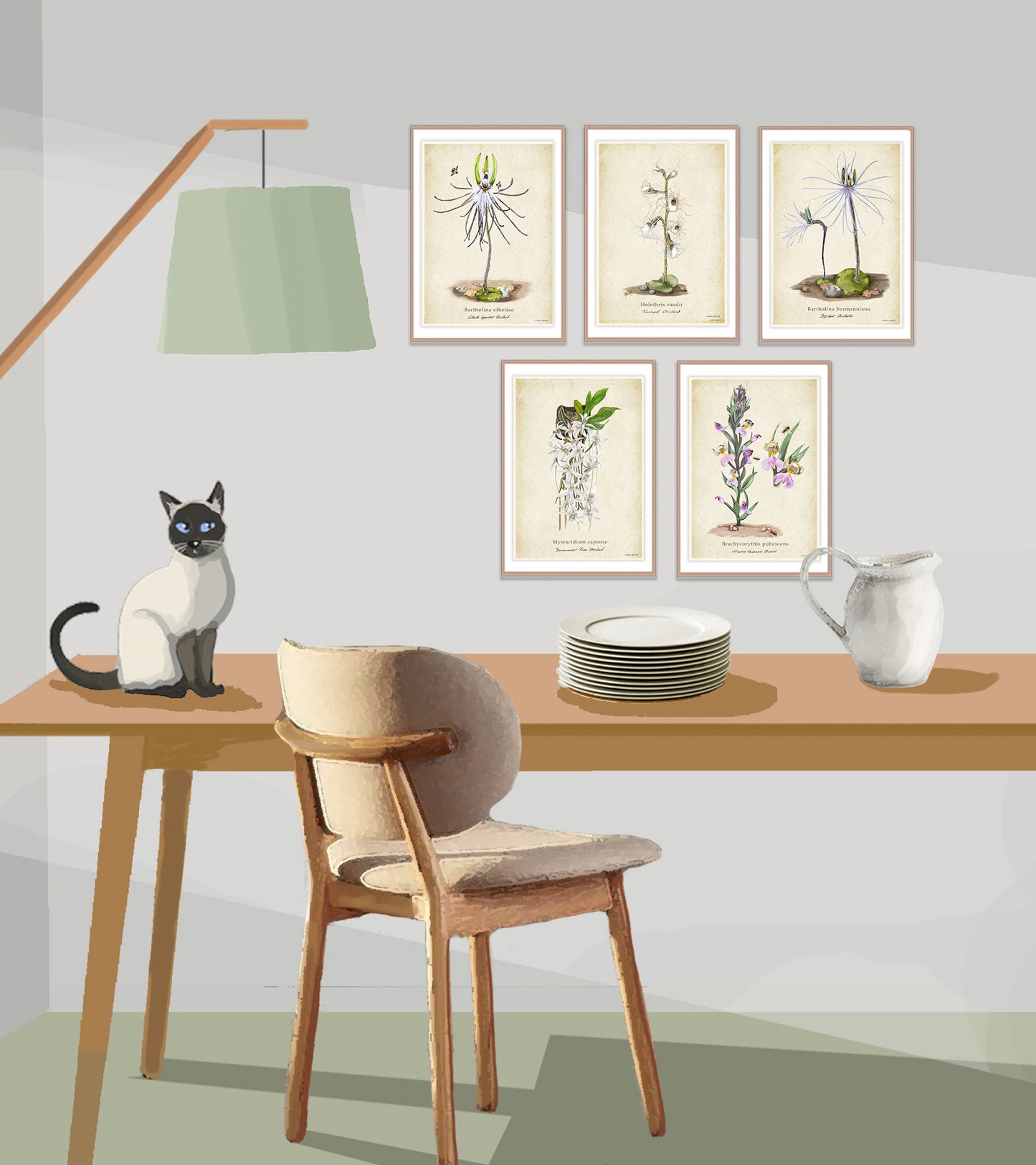 Spider Orchid on a Vintage Background