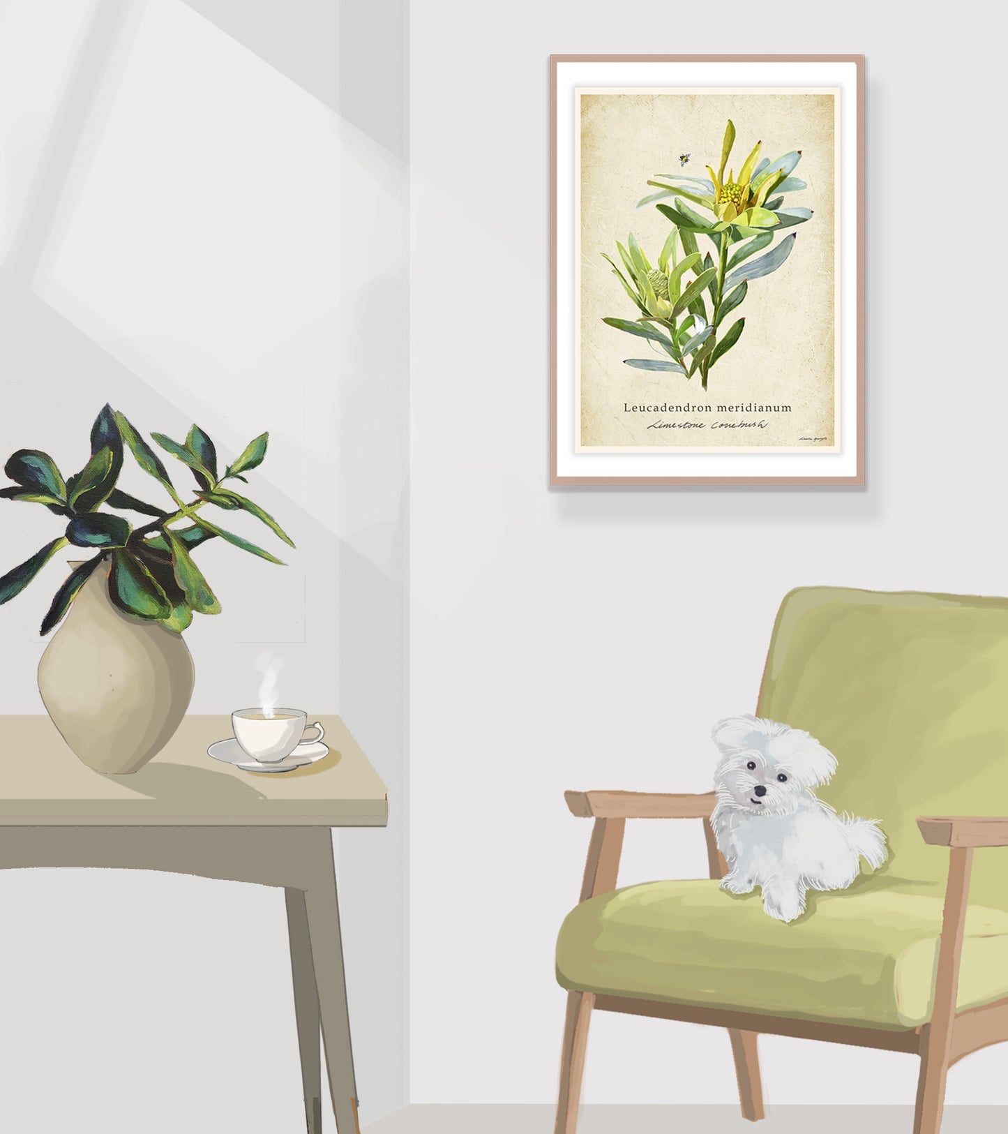 Limestone Conebush on a Vintage Background