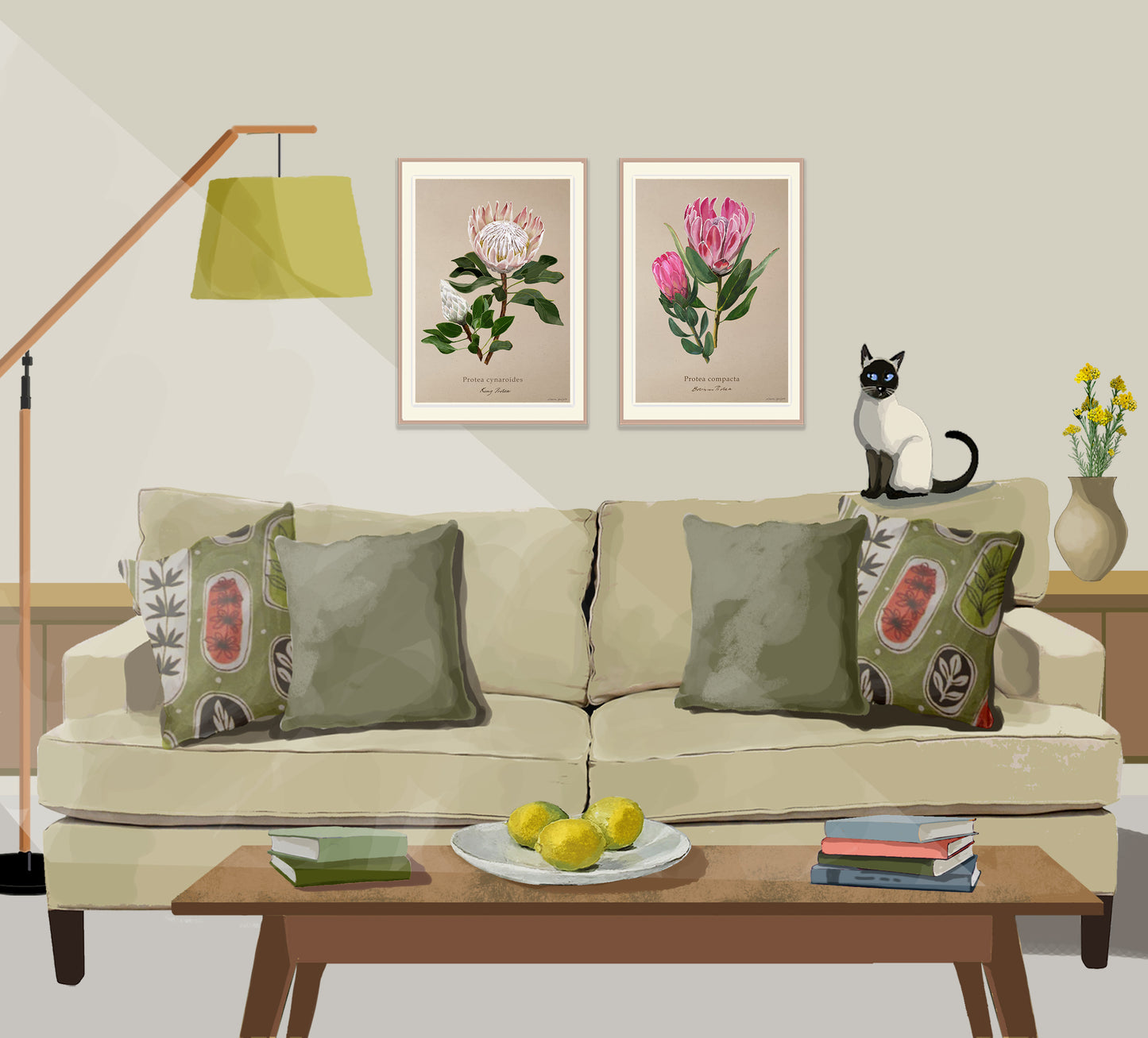 Protea cynaroides - King Protea