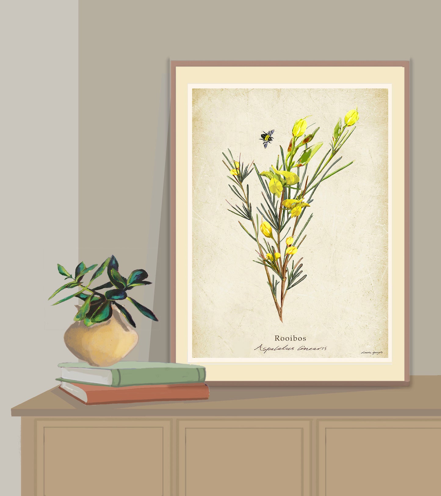 Rooibos on a Vintage Background