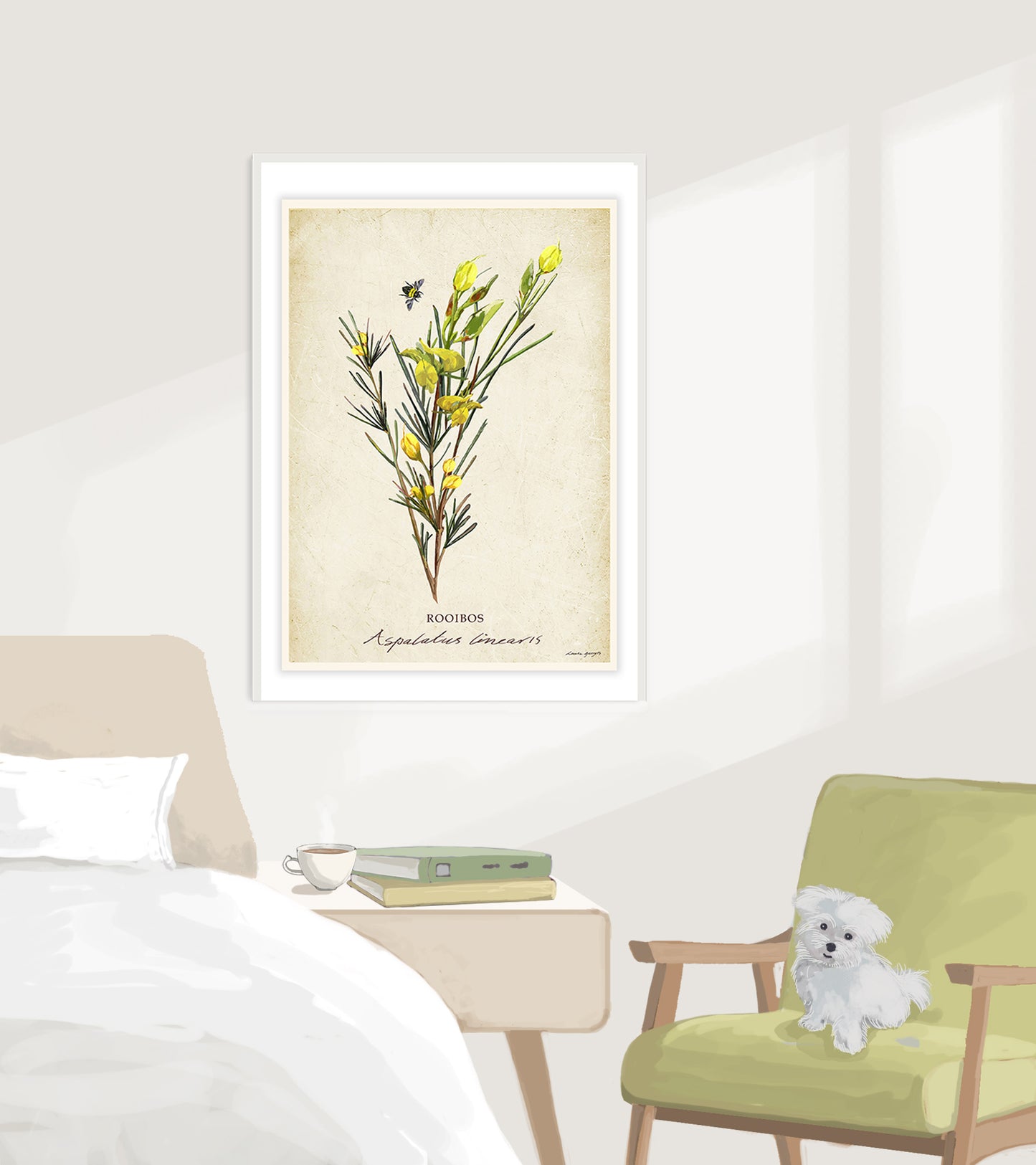 Rooibos on a Vintage Background