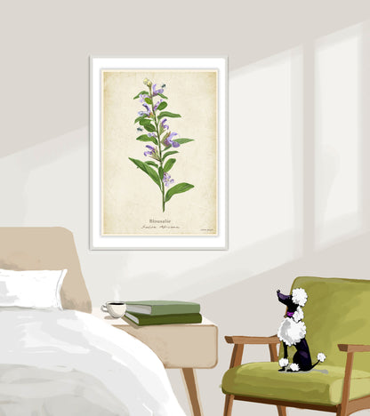 Blousalie on a Vintage Background