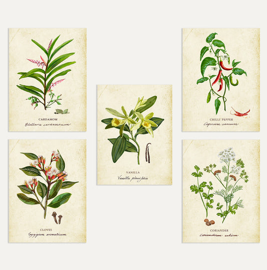 Spices Card Bundle Small on a Vintage Background