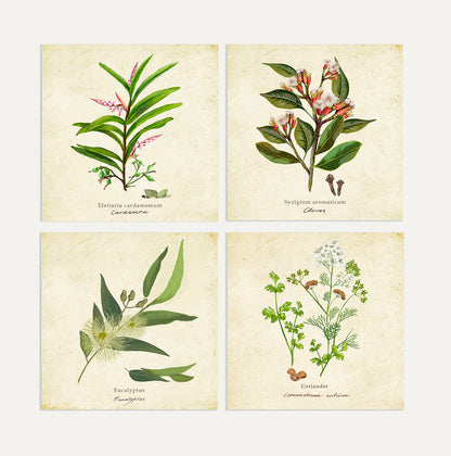 Spices 2 Card Bundle Big on a Vintage Background