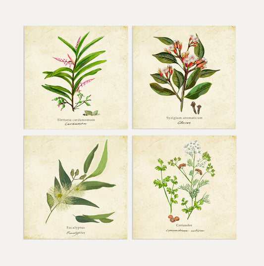 Spices 2 Card Bundle Big on a Vintage Background