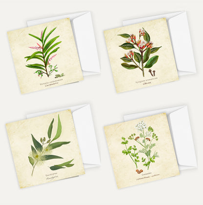 Spices 2 Card Bundle Big on a Vintage Background