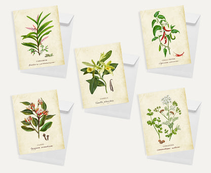 Spices Card Bundle Small on a Vintage Background