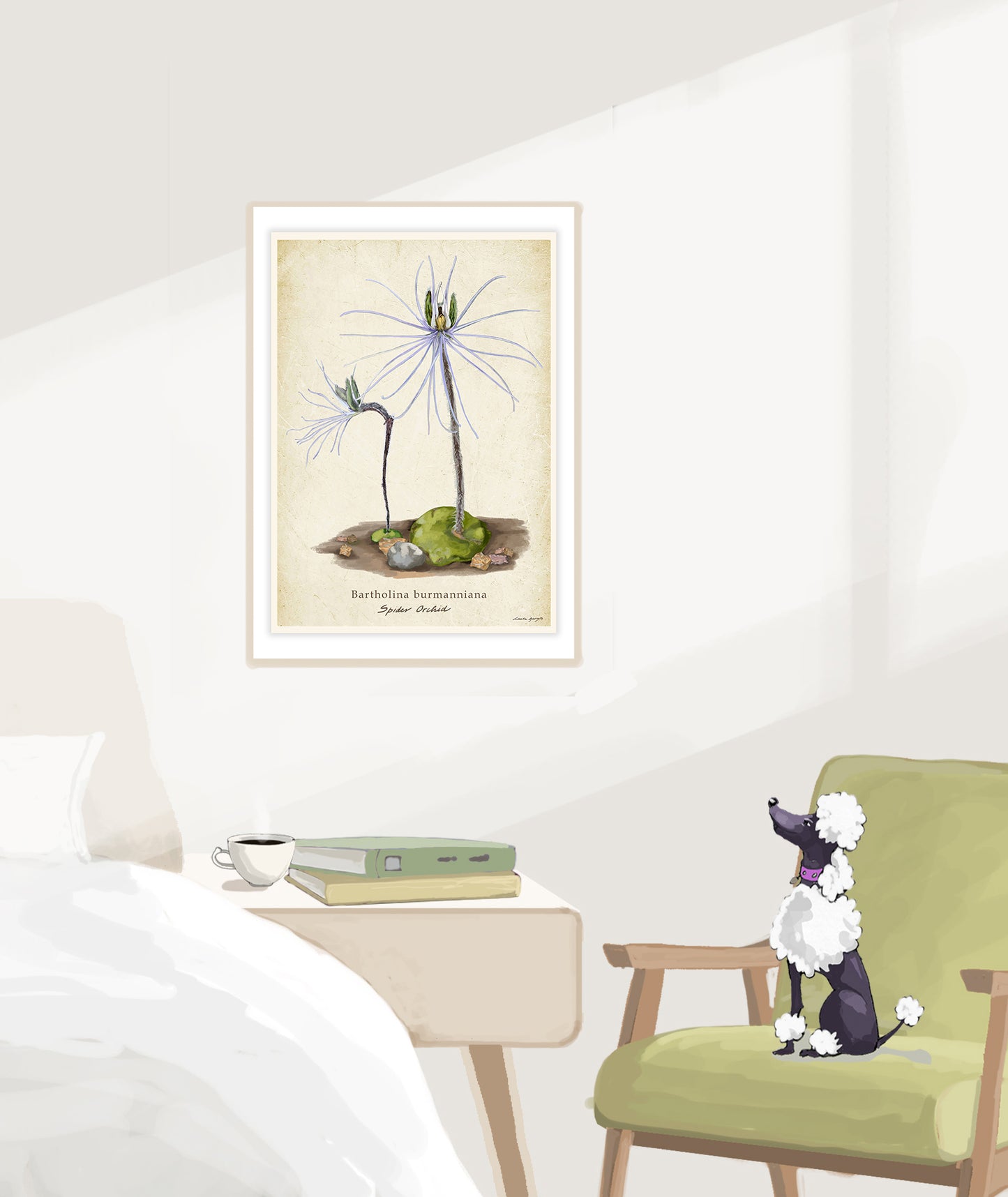 Spider Orchid on a Vintage Background