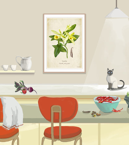 Vanilla on a Vintage Background